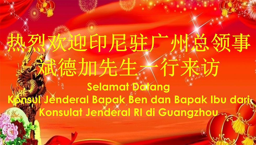 DG����(�й���)����