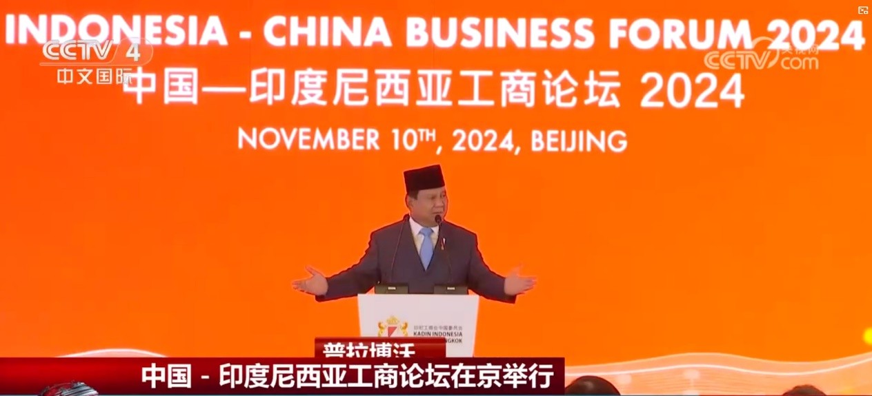 DG����(�й���)����